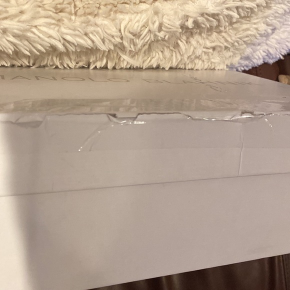 Manolo Blahnik Scolto Mules - Picture 8 of 8